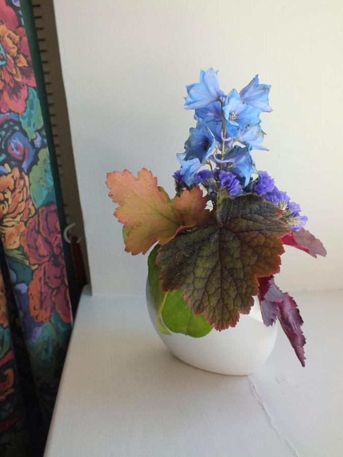 Herb Cottage 브래드포드온아본 외부 사진